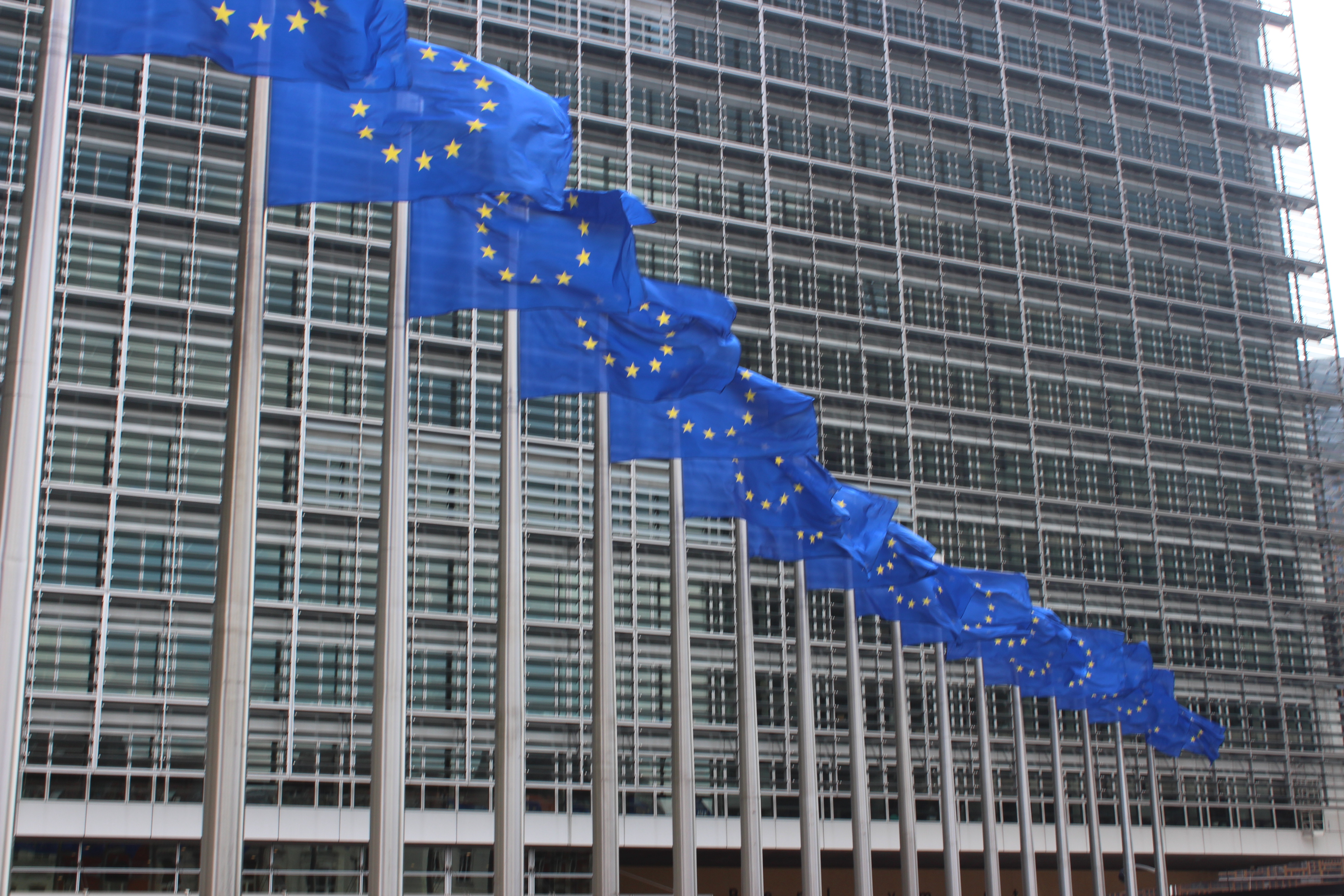 Drapeaux_devant_la_commission_européenne.jpg
