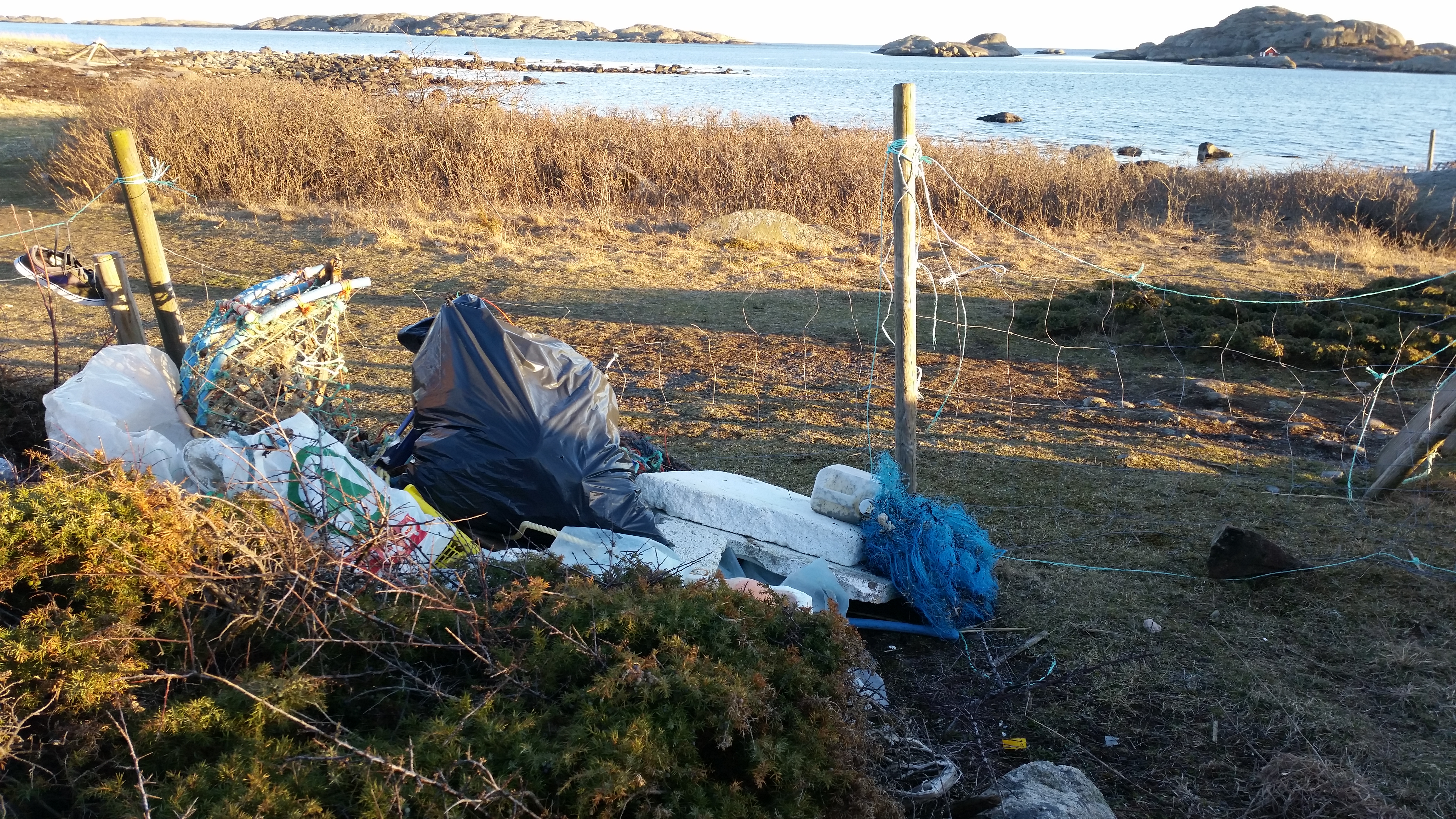 20150404_191614.jpg
