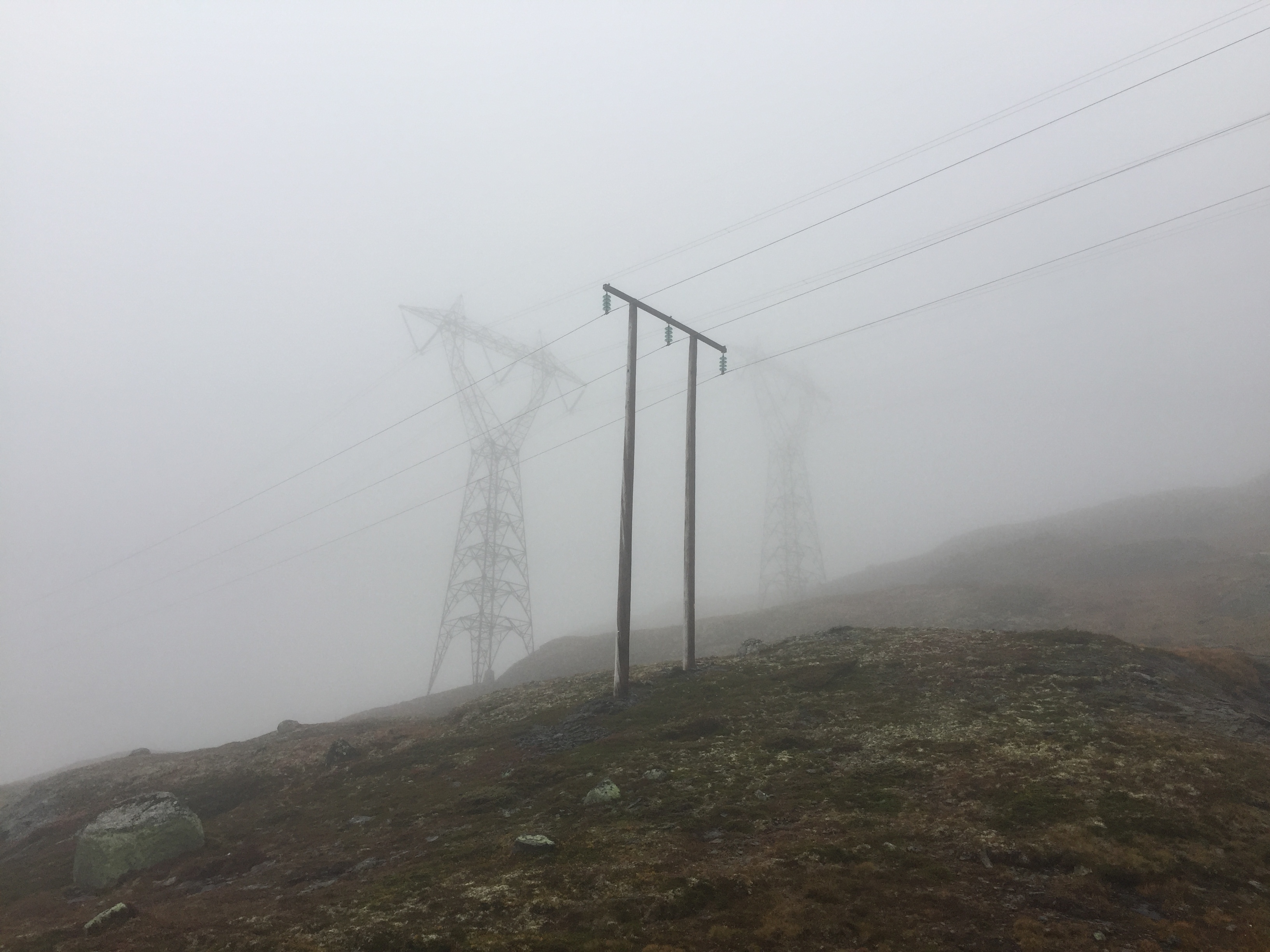 Distribusjon og transmisjon natur 06.JPG