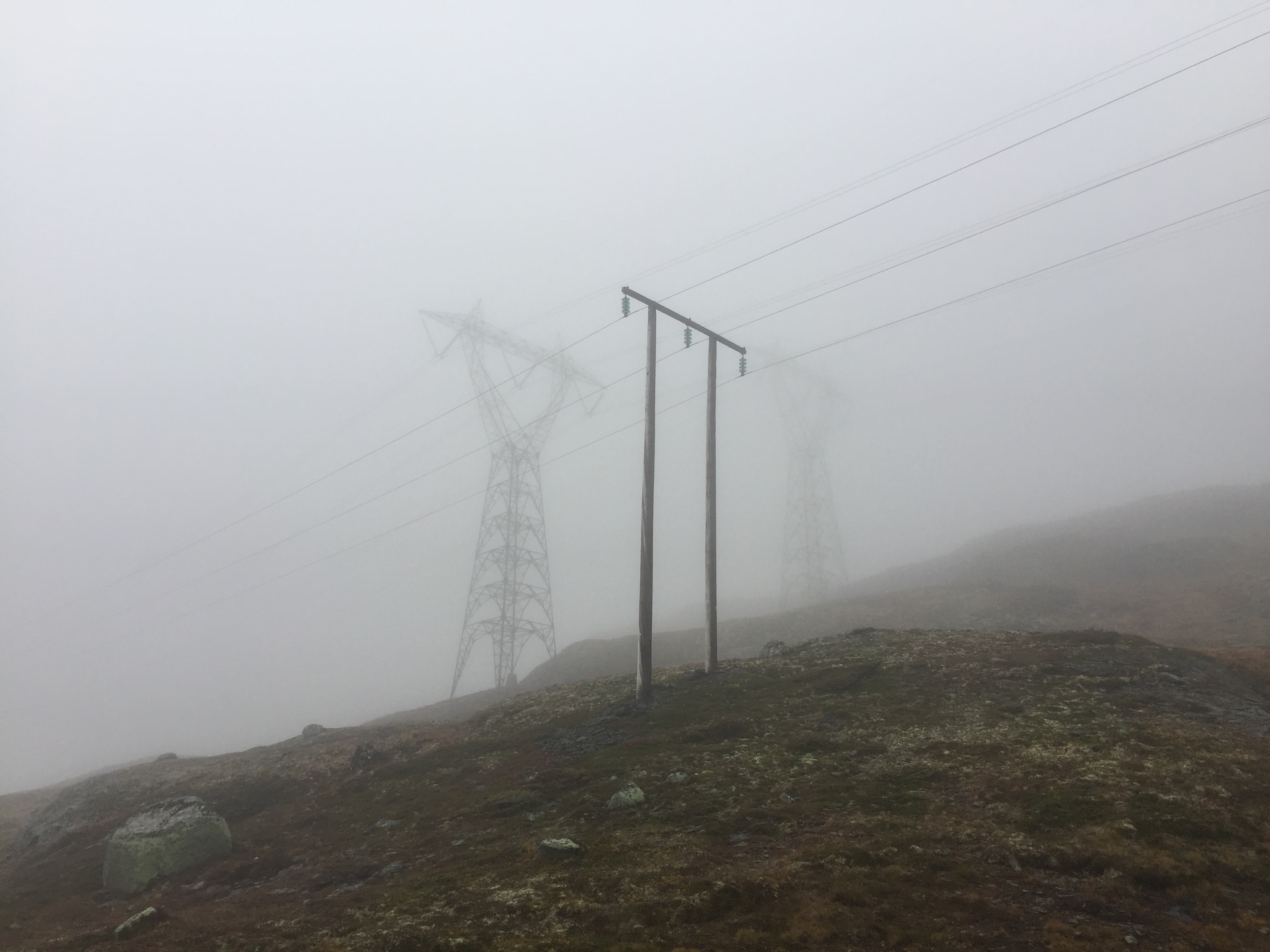 Distribusjon og transmisjon natur 07.JPG