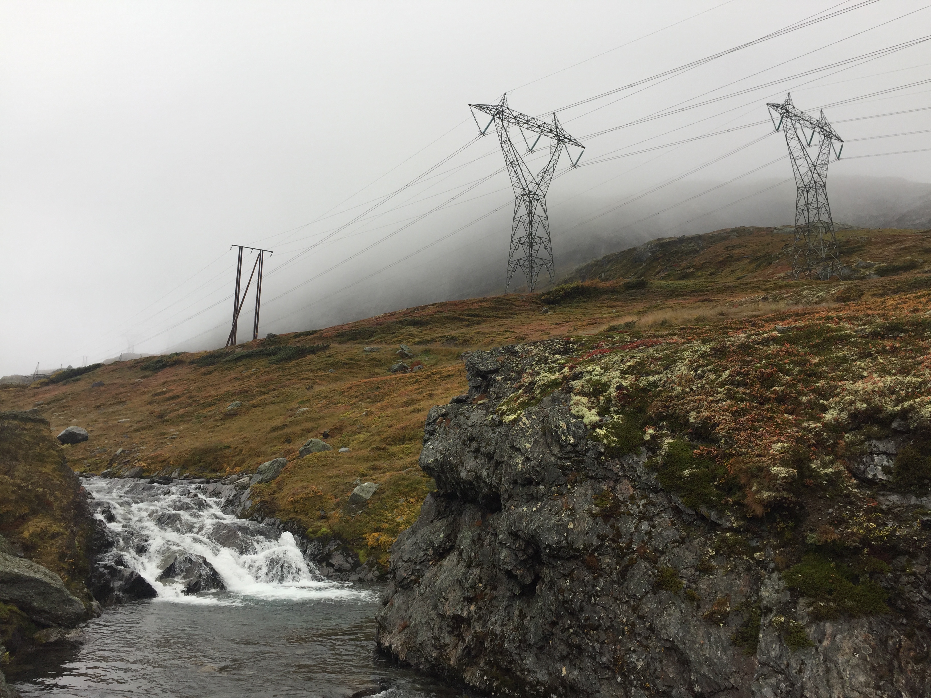 Distribusjon og transmisjon natur 15.JPG