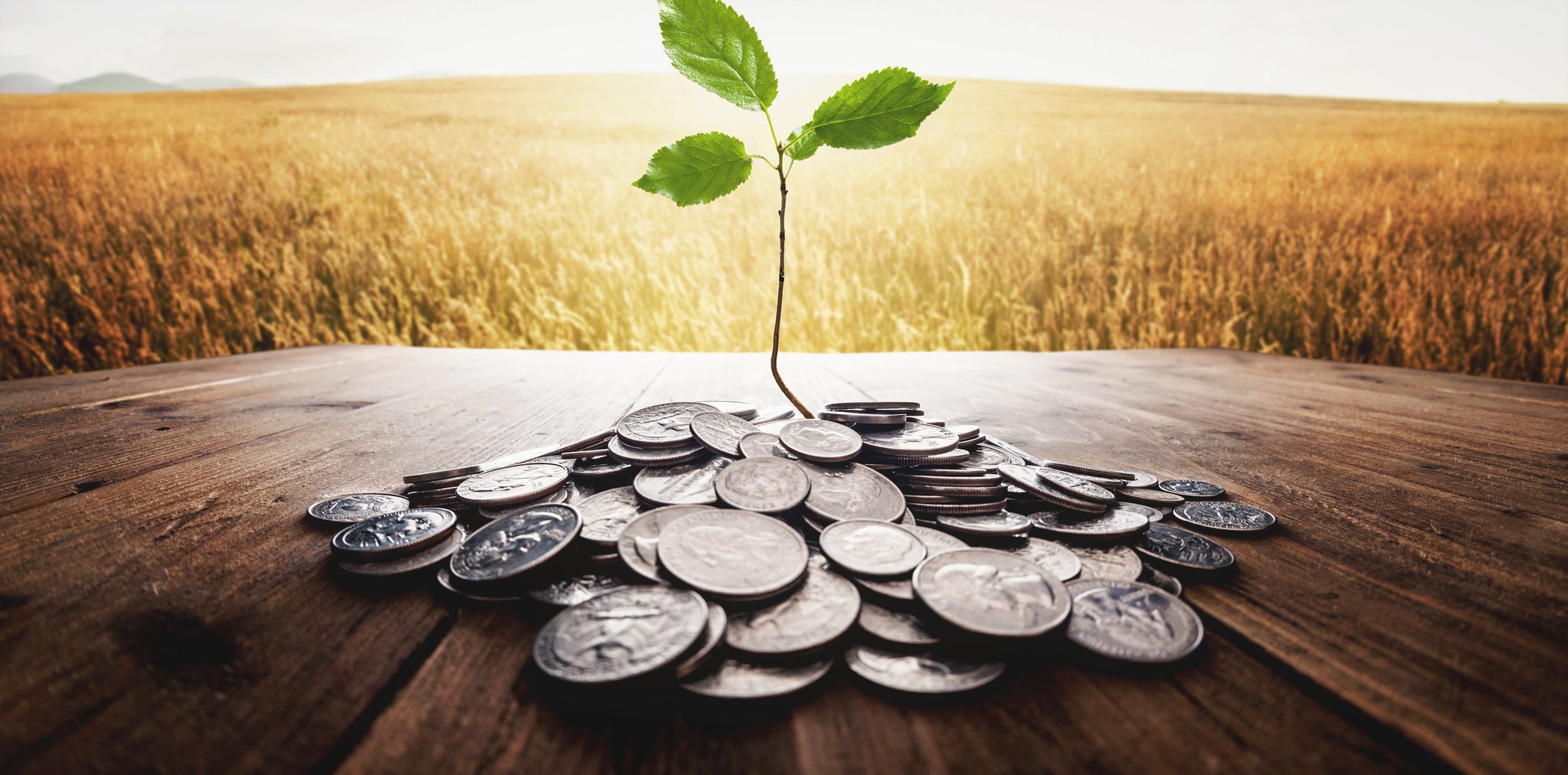 Sirkulær økonomi - iStock.jpg