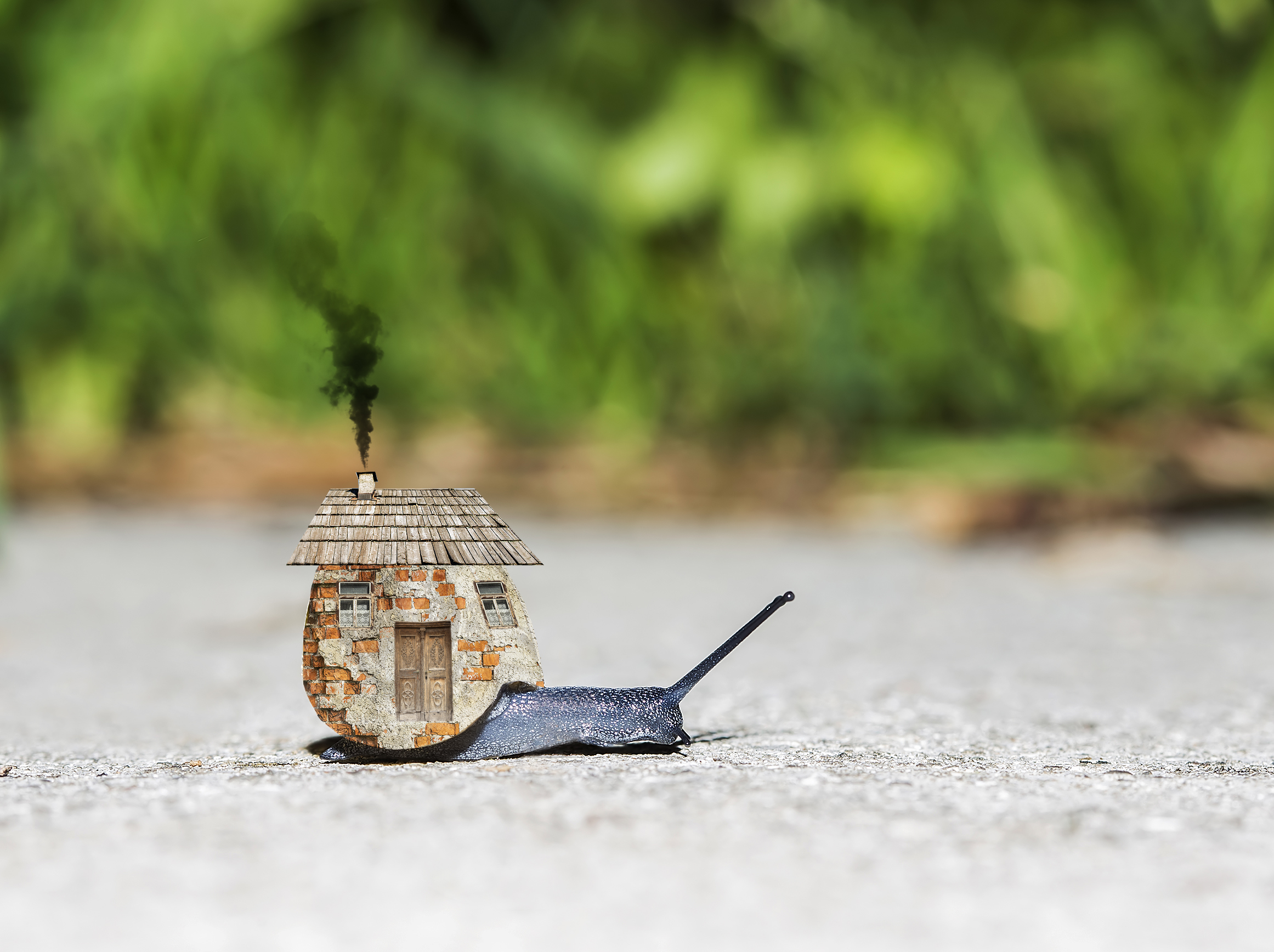 iStock-541265362.jpg