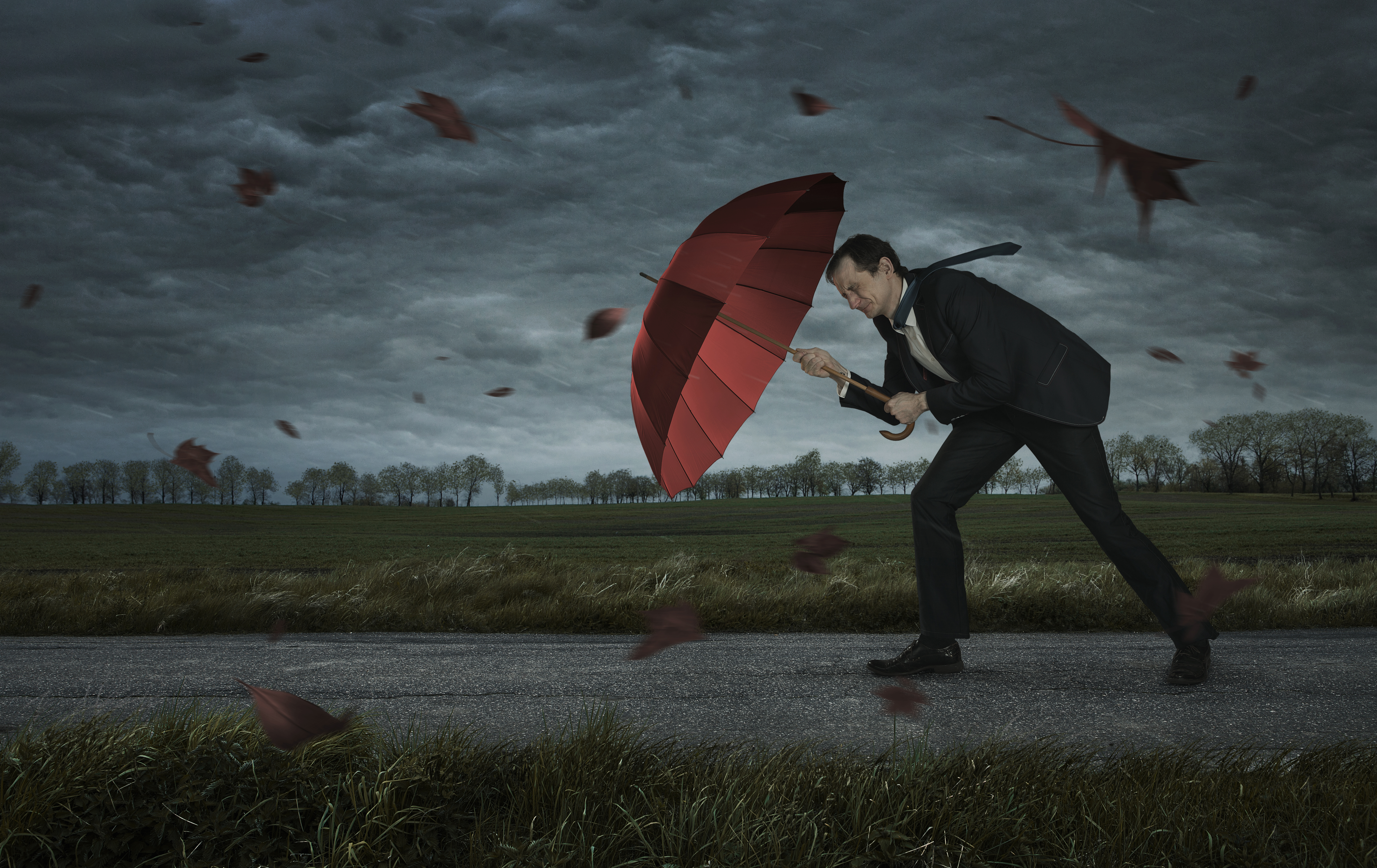 iStock-680479604.jpg