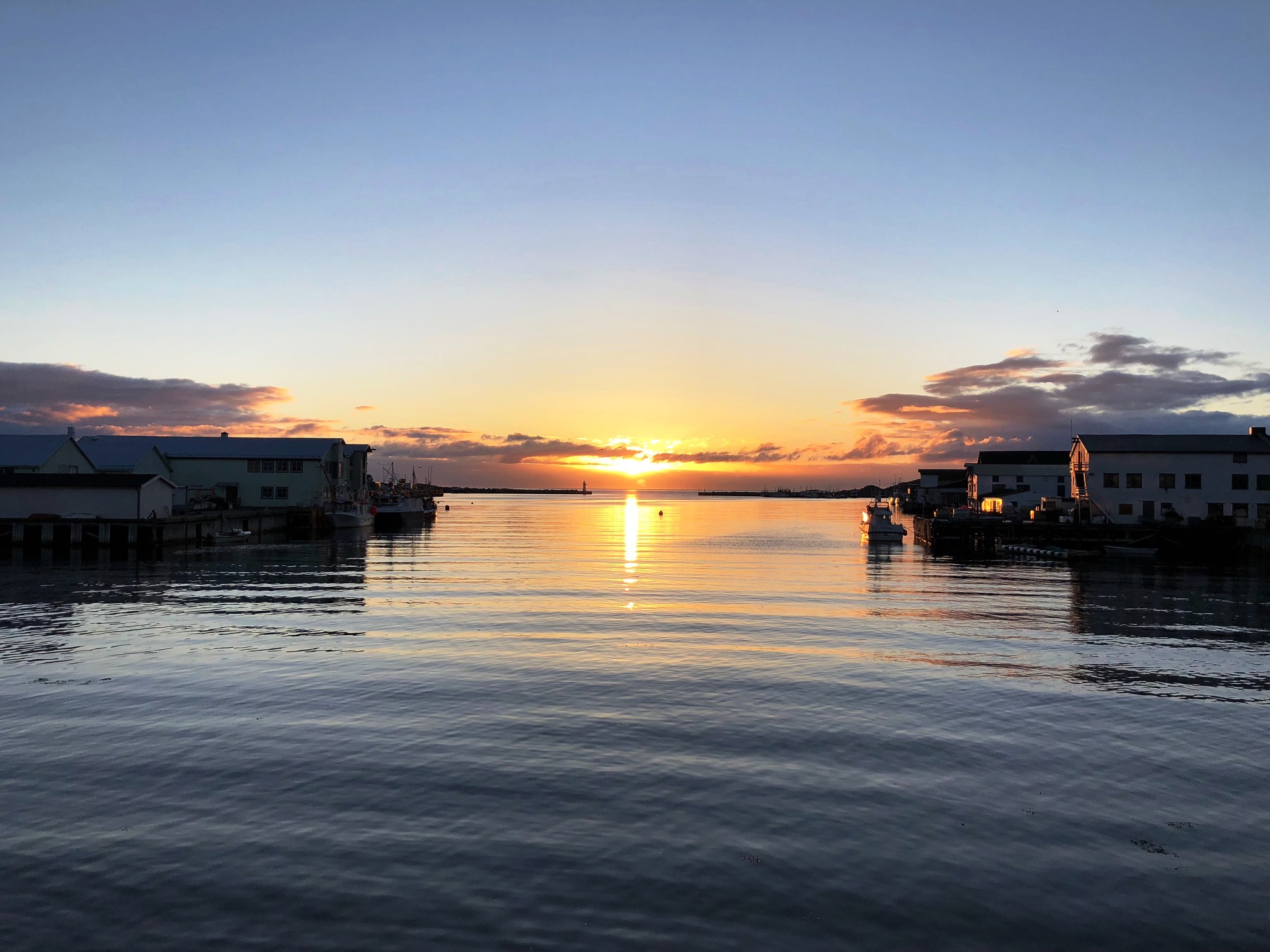 Vardø havn 1.jpg
