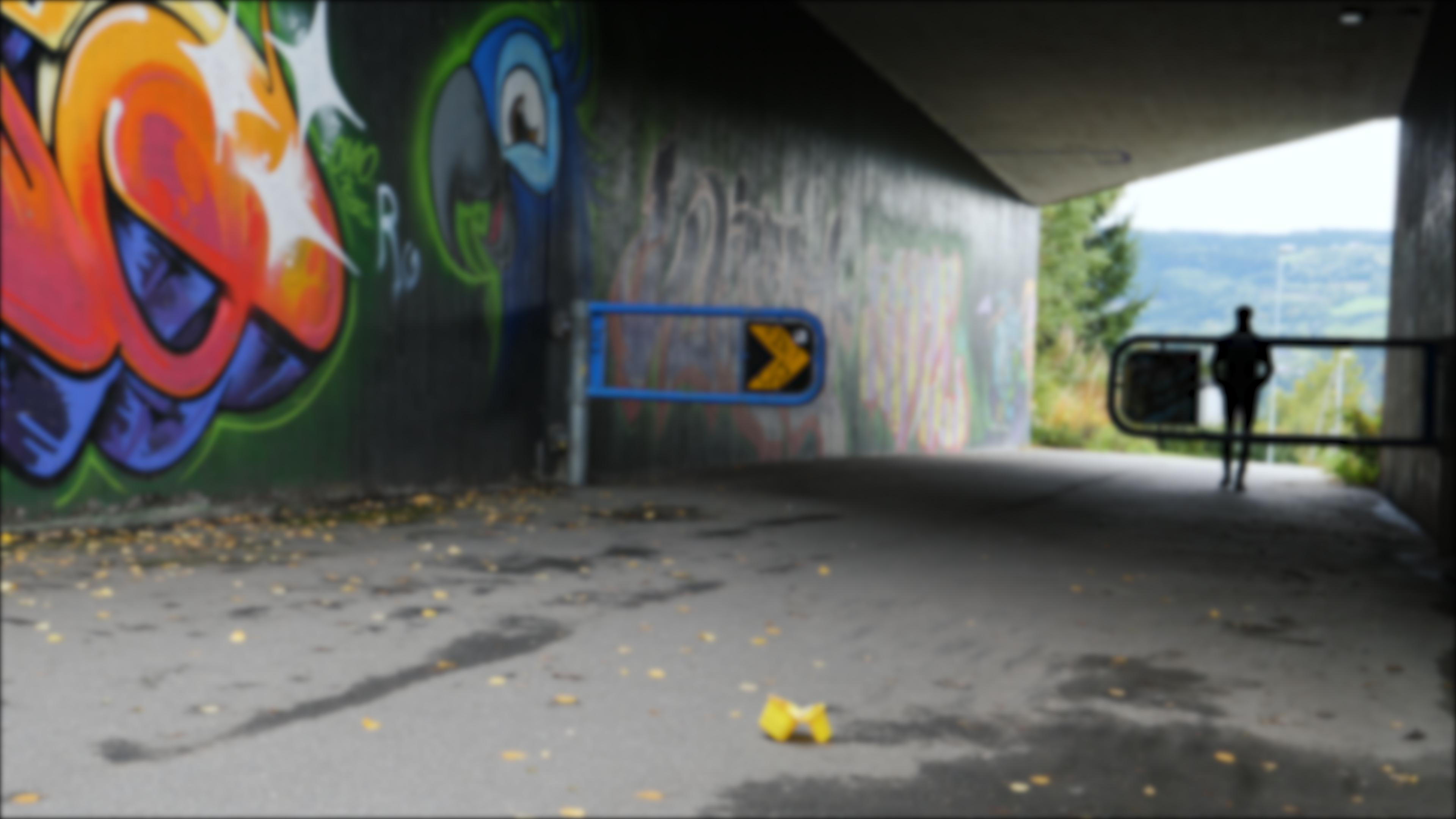 #ploggingLillehammer.00_00_04_06.Still010.jpg