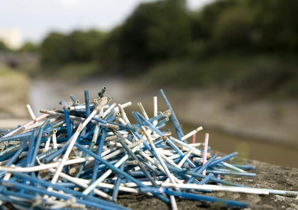 Q tips.jpg