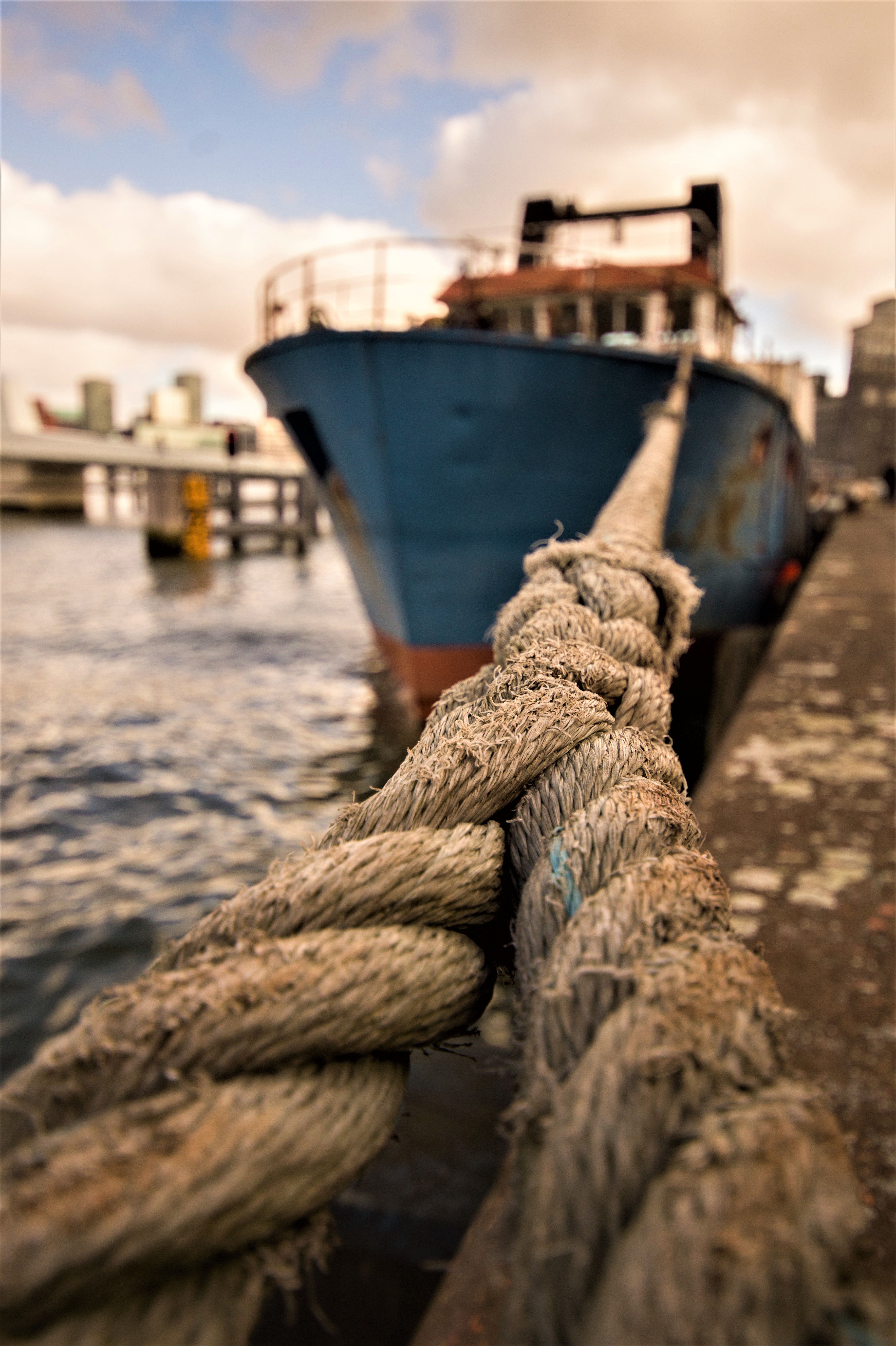 cargo-dock-harbor-9318 (2).jpg