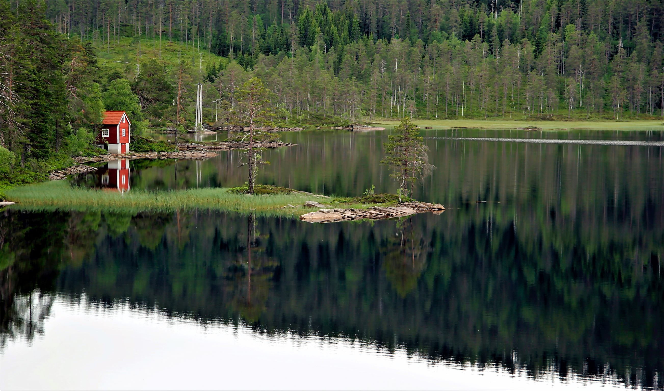 Foto Steinar Engeland For Nett