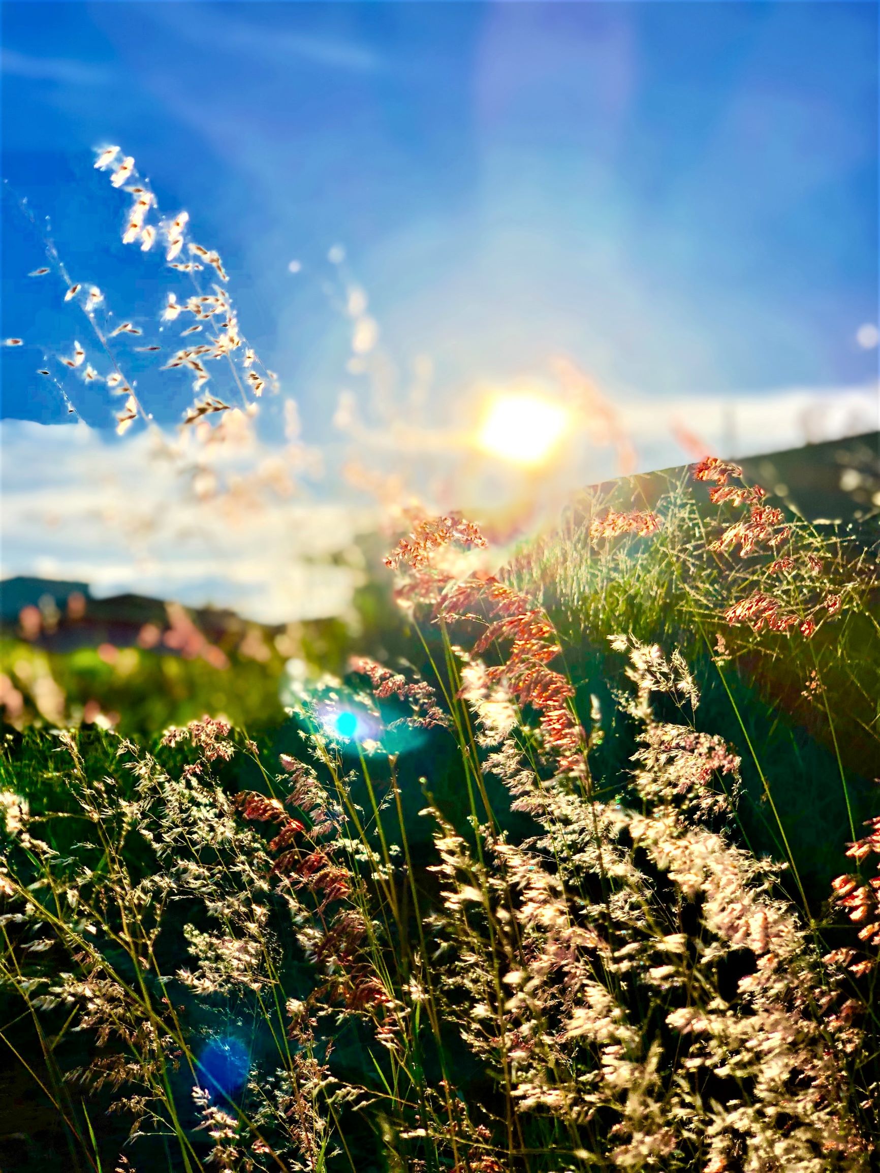 Foto Rafael Macedo Unsplash For Nett