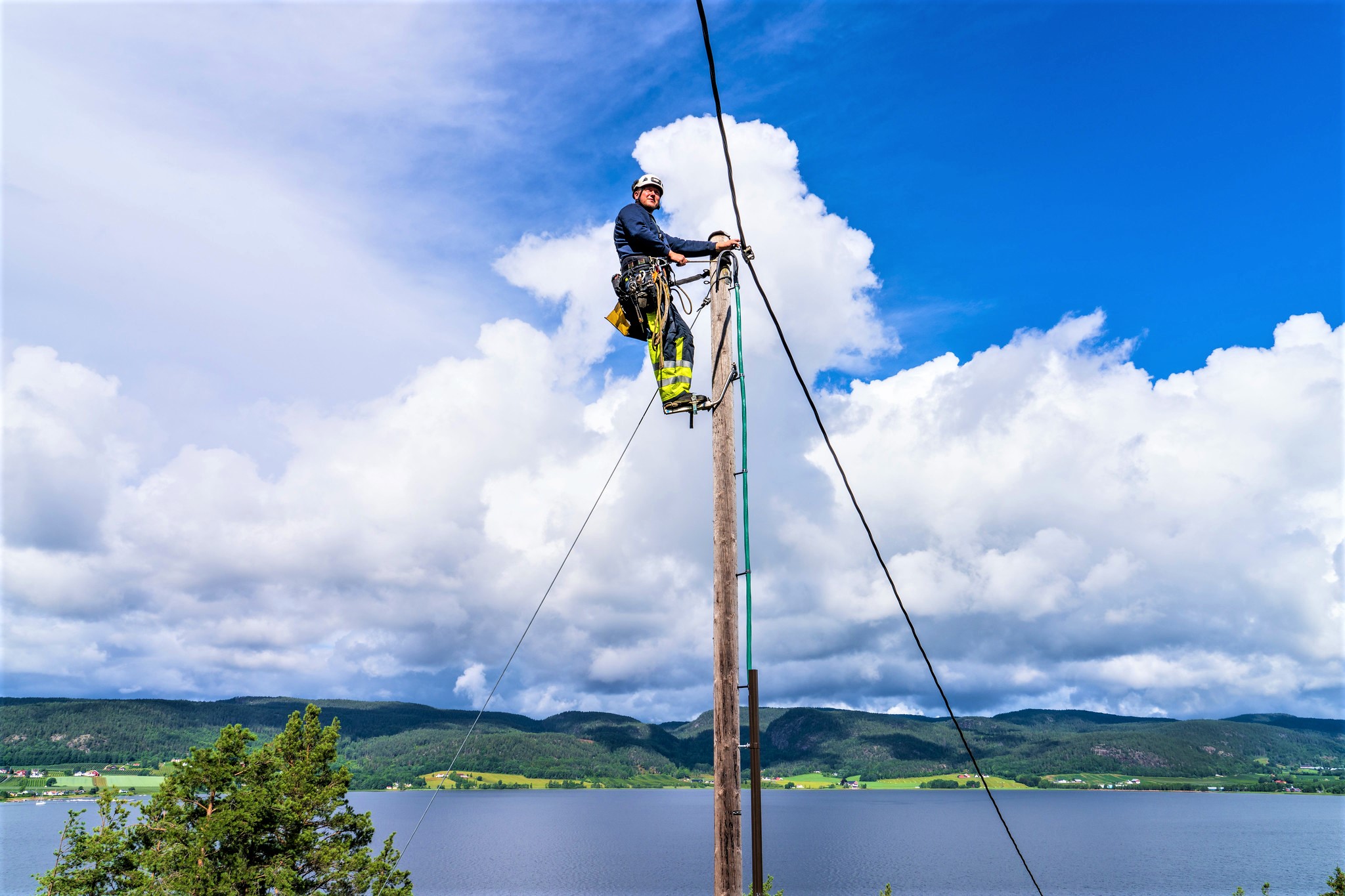 Mann I Kraftledning Foto Jill Johannessen