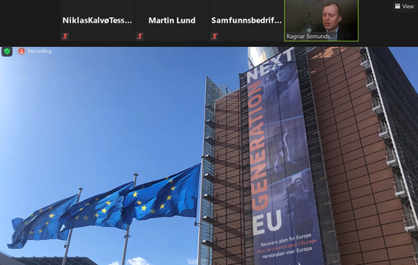 EU Del Webinar