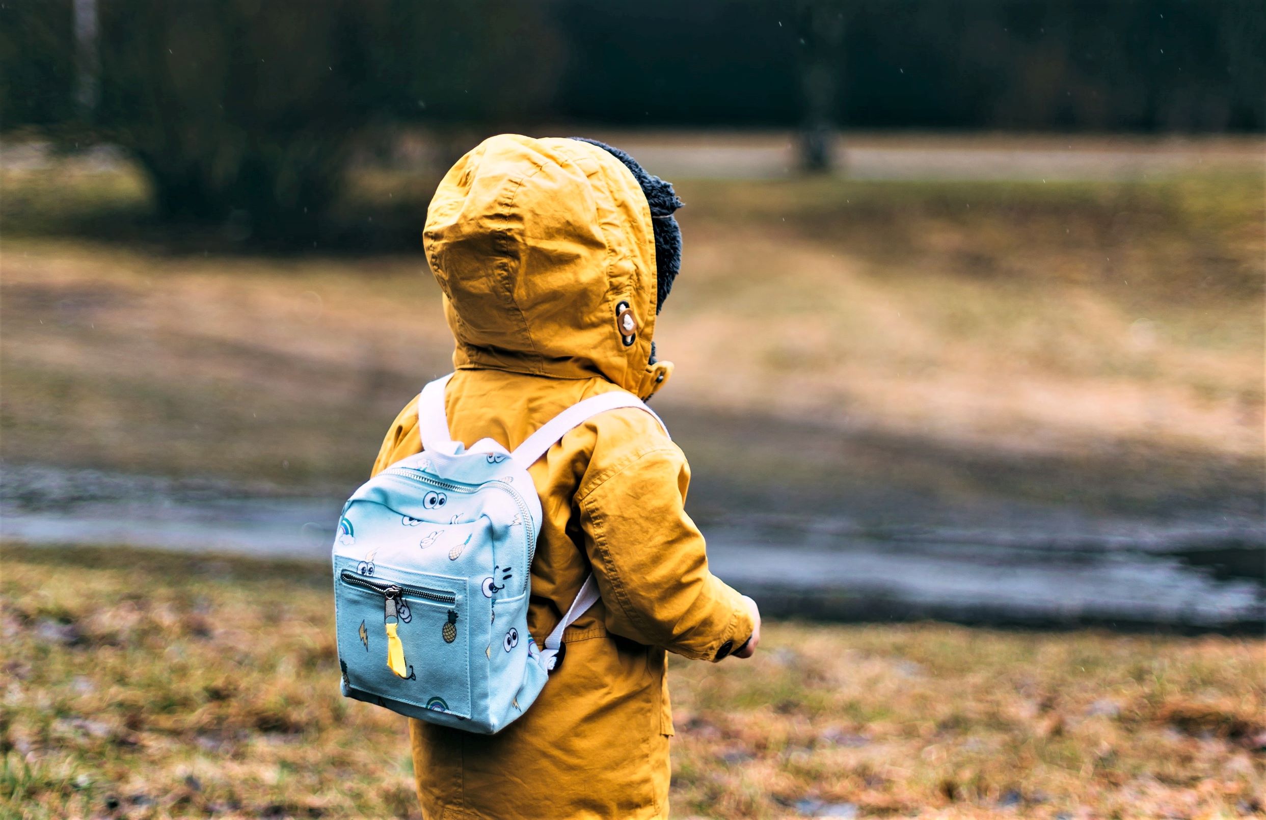 Barnevernssak Foto Daiga Ellaby Unsplash For Nett