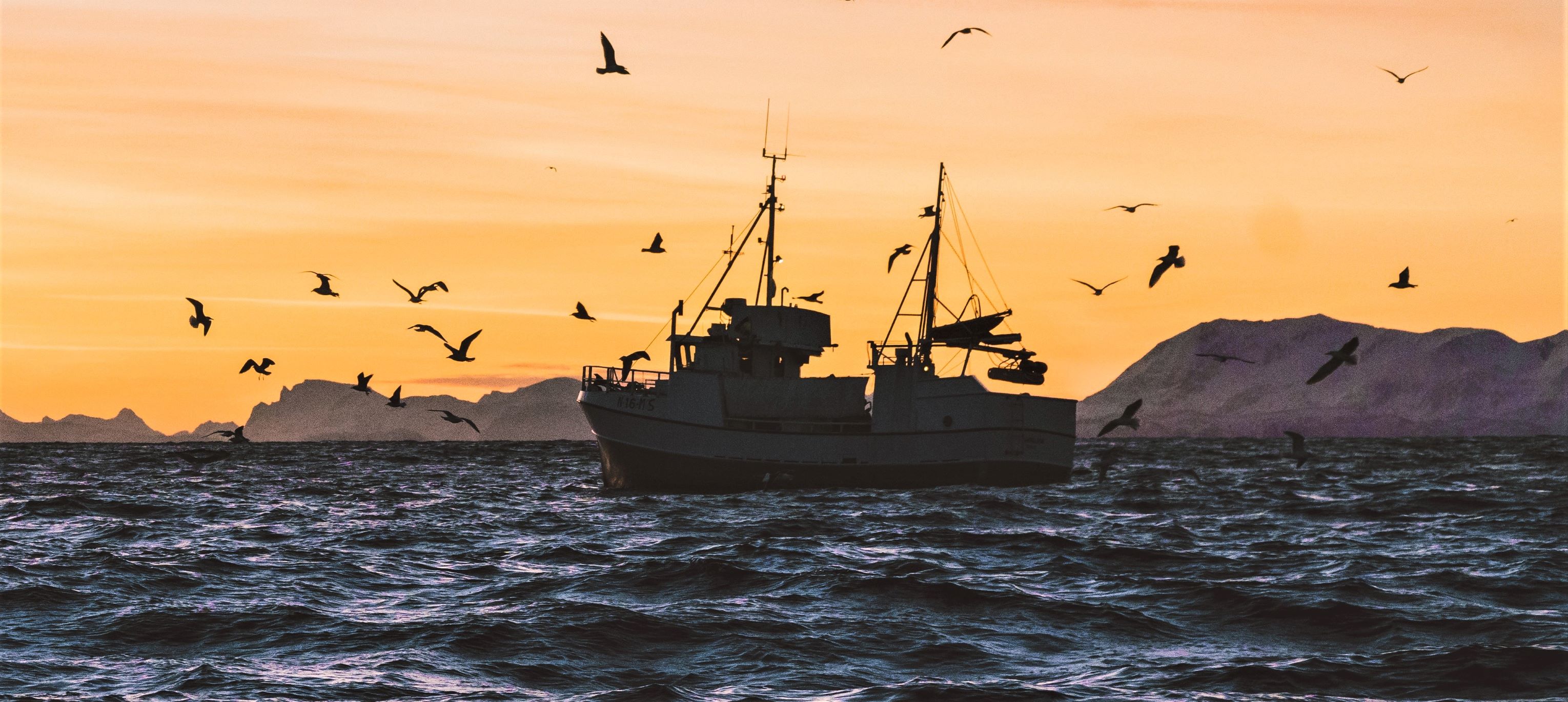 Fiskerihavner Foto Knut Troim Unsplash For Nett