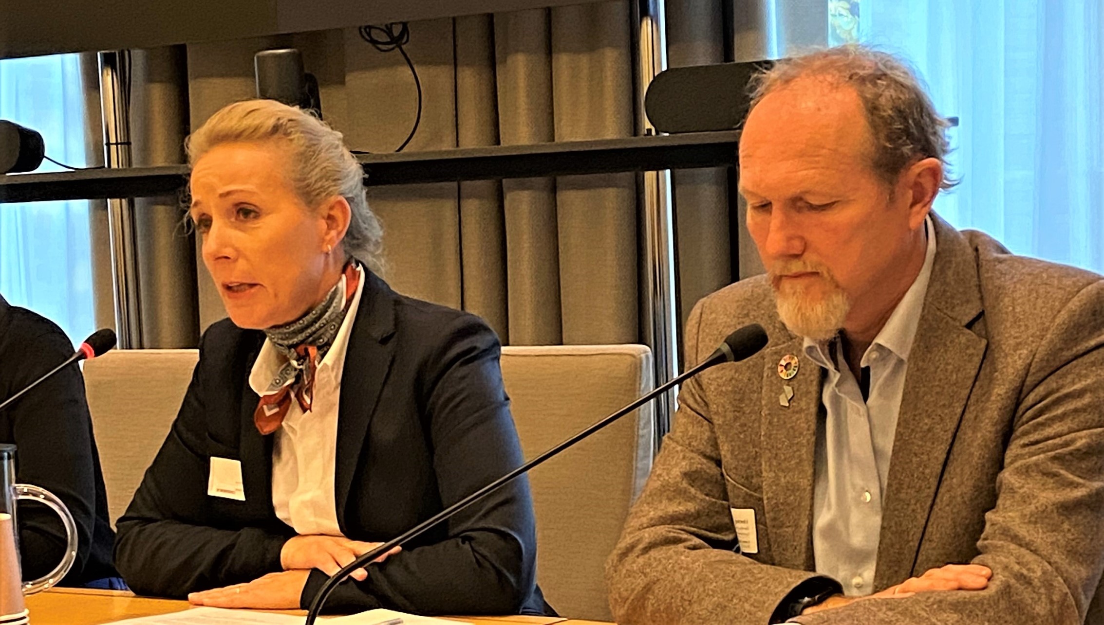 Cecilie Bjelland I Høring (3)