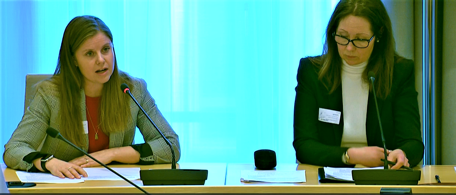 Anna Og Elen På Åpen Høring I Stortingets Arbeids Og Sosialkomité Tirsdag 15 Februar 2022 Speilvendt
