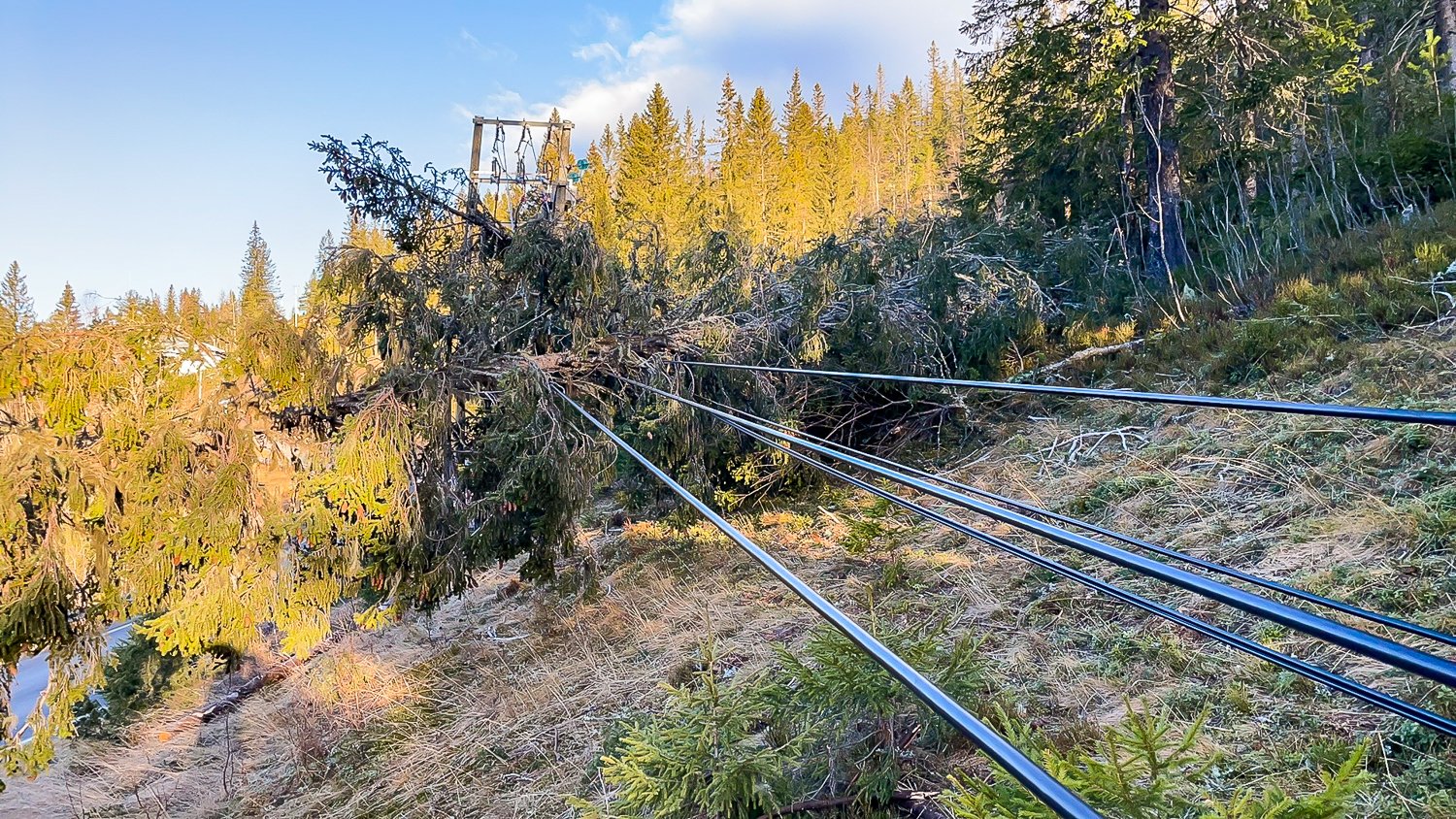 KILE Vindfall Eggedal Foto Bygdeposten