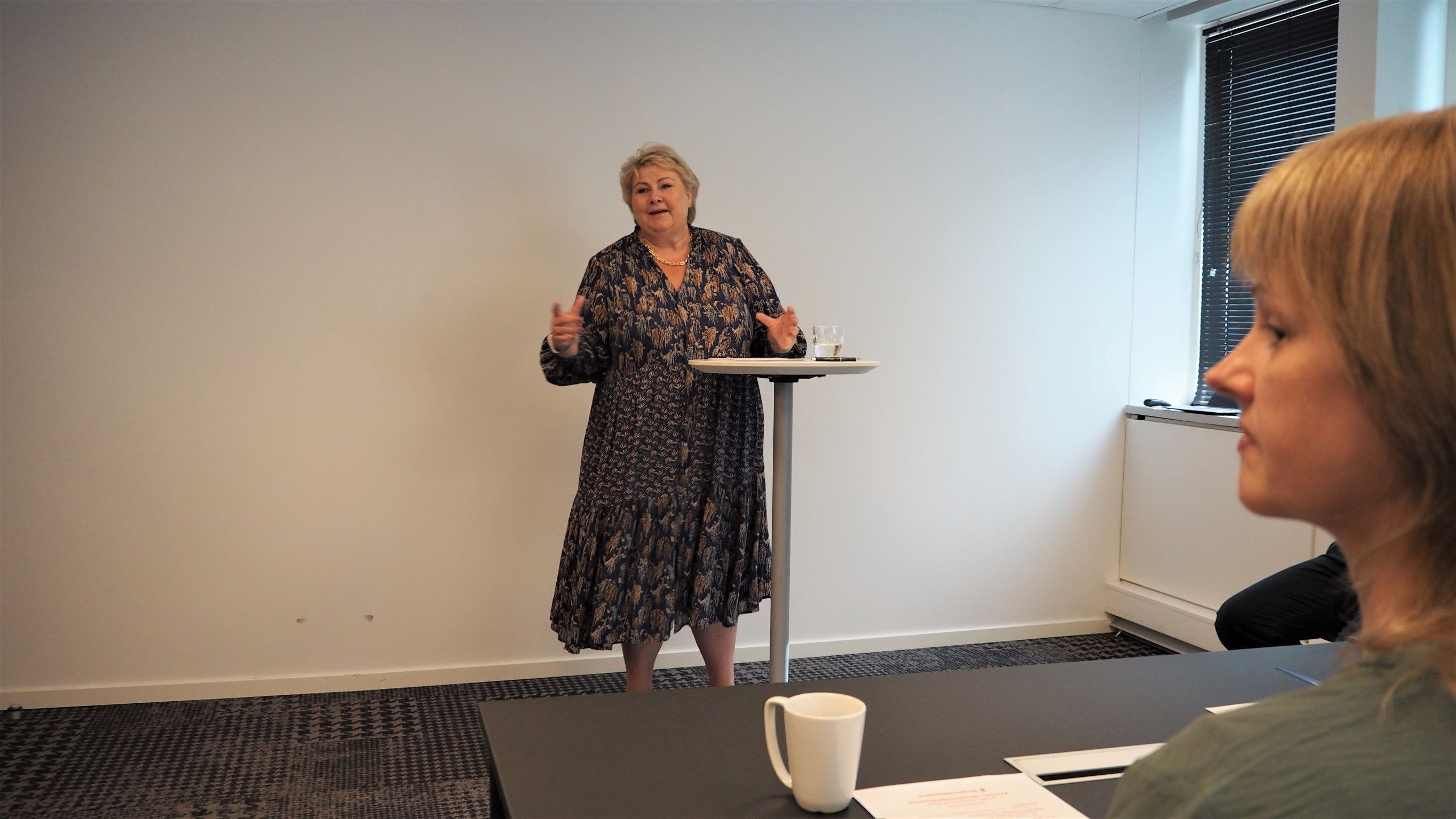 Erna På Kis Speilvendt